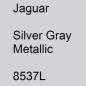 Preview: Jaguar, Silver Gray Metallic, 8537L.